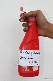 Spray